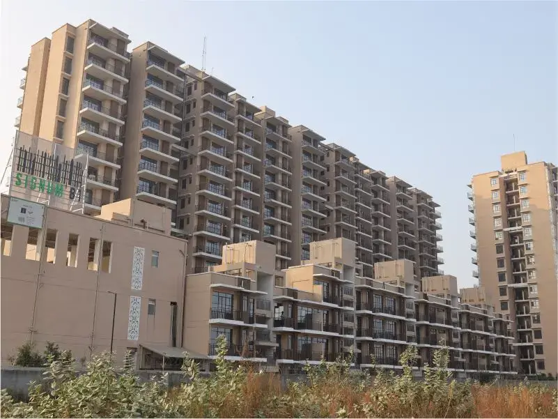 Signum 81 (Commercial of Synera )