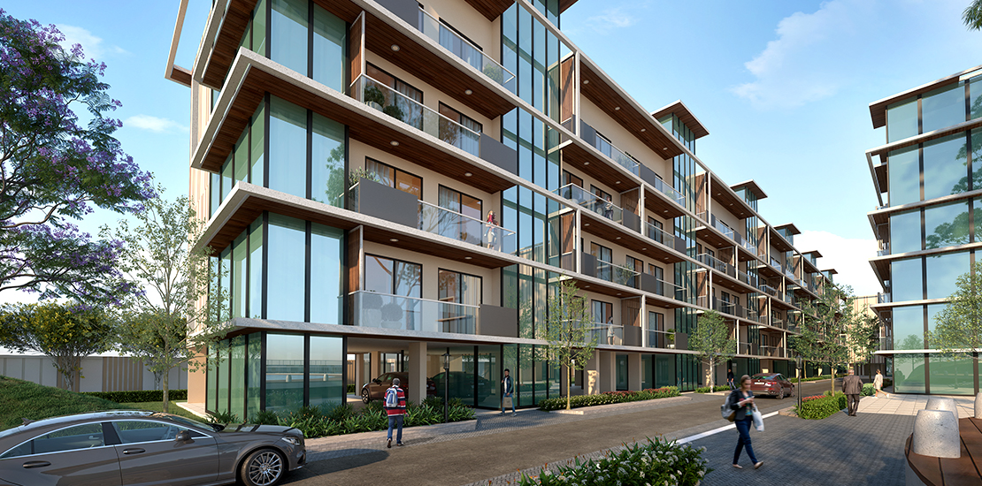 DELUXE DXP Commercial