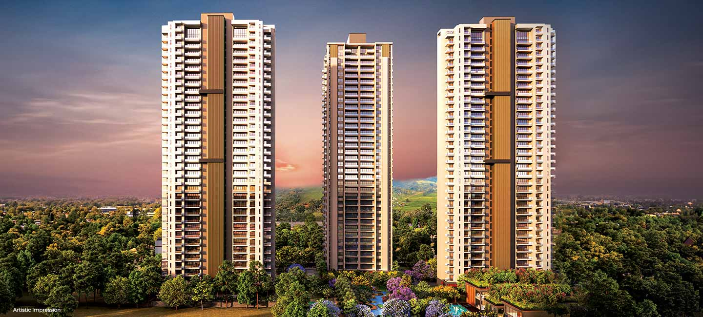 DELUXE DXP Commercial